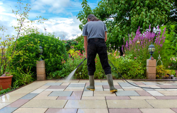 Best Restaurant Pressure Washing  in Roanoke, AL